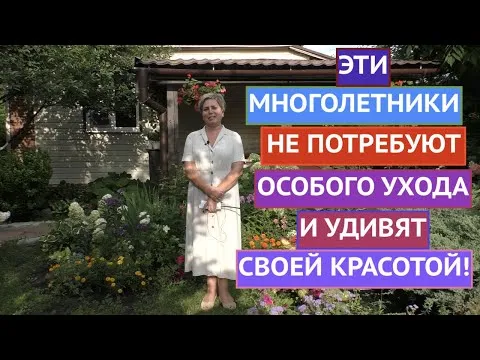 Нажми и смотри