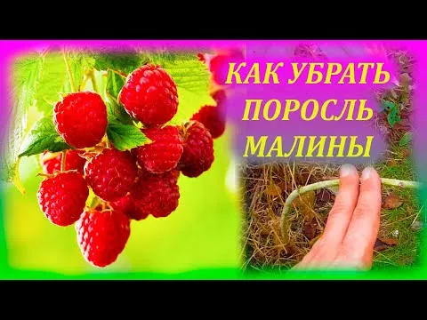 Нажми и смотри