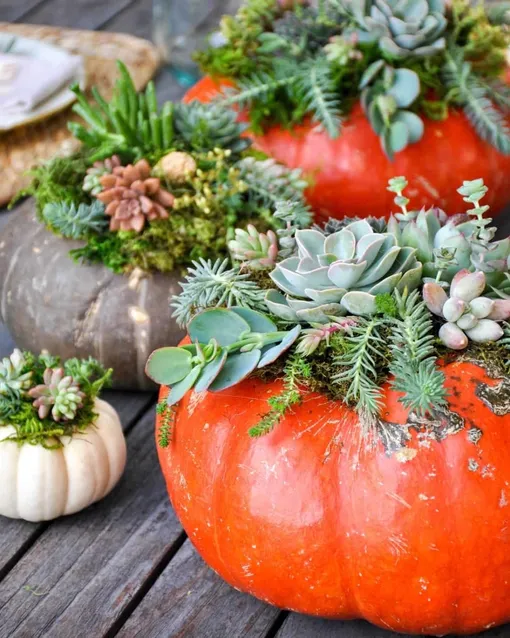 вазы из тыквы вазы из тыквы