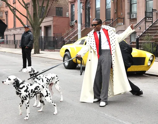 Рэпер A$AP Rocky сочетает плащ с подкладкой в горошек и брюки в клетку