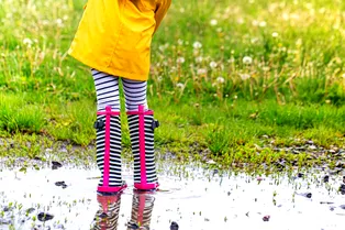 Дренаж своими руками на участке: как его улучшить и недорого избавиться от воды Дренаж своими руками на участке: как его улучшить и недорого избавиться от воды