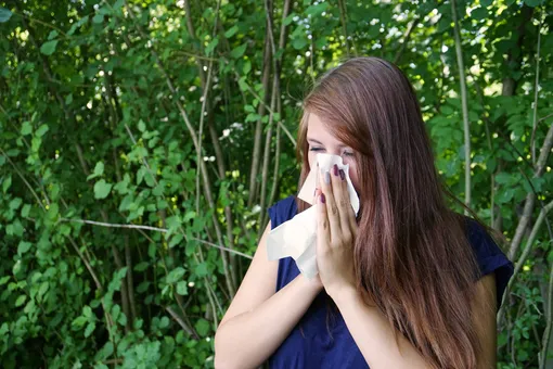 Что такое поллиноз, профилактика сезонной аллергии и лечение поллиноза Что такое поллиноз, профилактика сезонной аллергии и лечение поллиноза