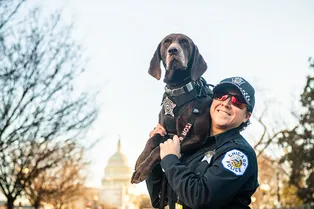 Женщина потеряла обручальные кольца на пляже... Спас полицейский пёс