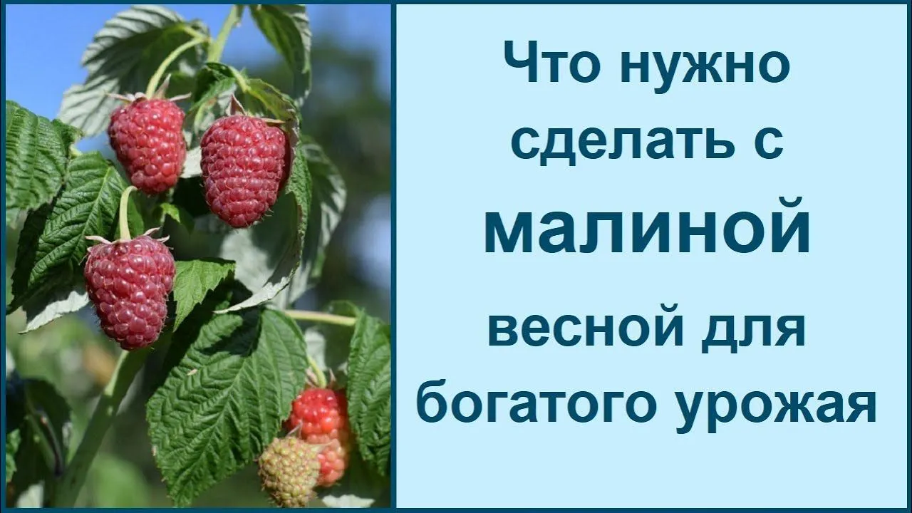 Нажми и смотри