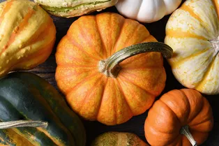 15 сортов самой сладкой тыквы с необыкновенным ароматом: посадите весной 2026 года