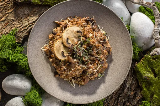 Гречетто из грибов с сыром Гречетто из грибов с сыром