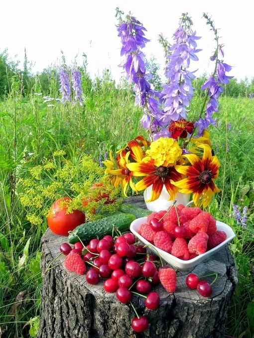 Лунный посевной календарь садовода и огородника на неделю с 15 по 21 июля 2024 года