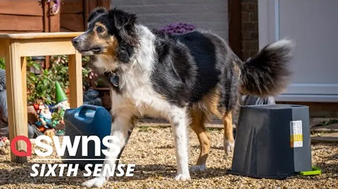 Нажми и смотри Нажми и смотри