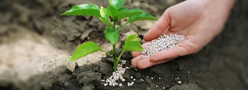 Меньше — лучше