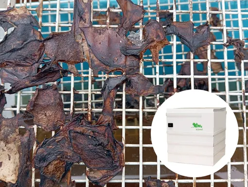 Если сушилка не обладает конвекцией, то мокрые продукты намертво прилипают к поддону Если сушилка не обладает конвекцией, то мокрые продукты намертво прилипают к поддону