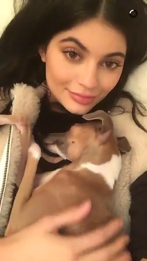 кайли дженнер