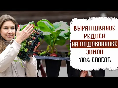 Нажми и смотри