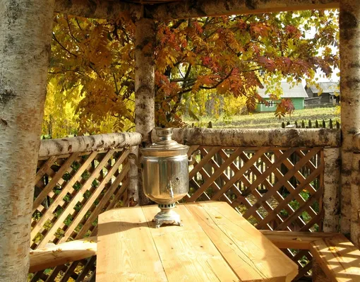 Как подготовить сад и огород к зиме: лунный календарь дачника на неделю с 10 по16 ноября 2025 года