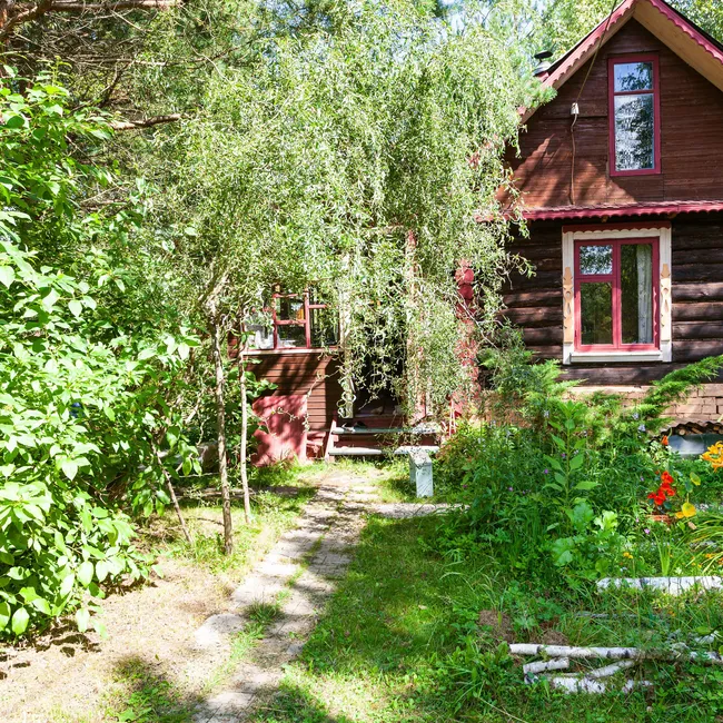 Шашлык не жарить, деревья не вырубать: за что дачника могут оштрафовать в 2025 году?