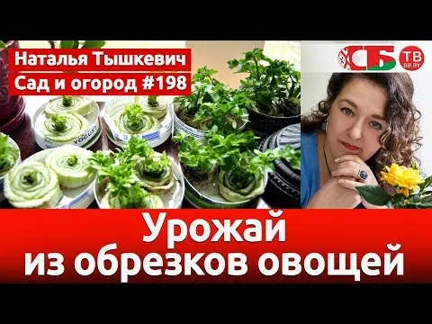Нажми и смотри