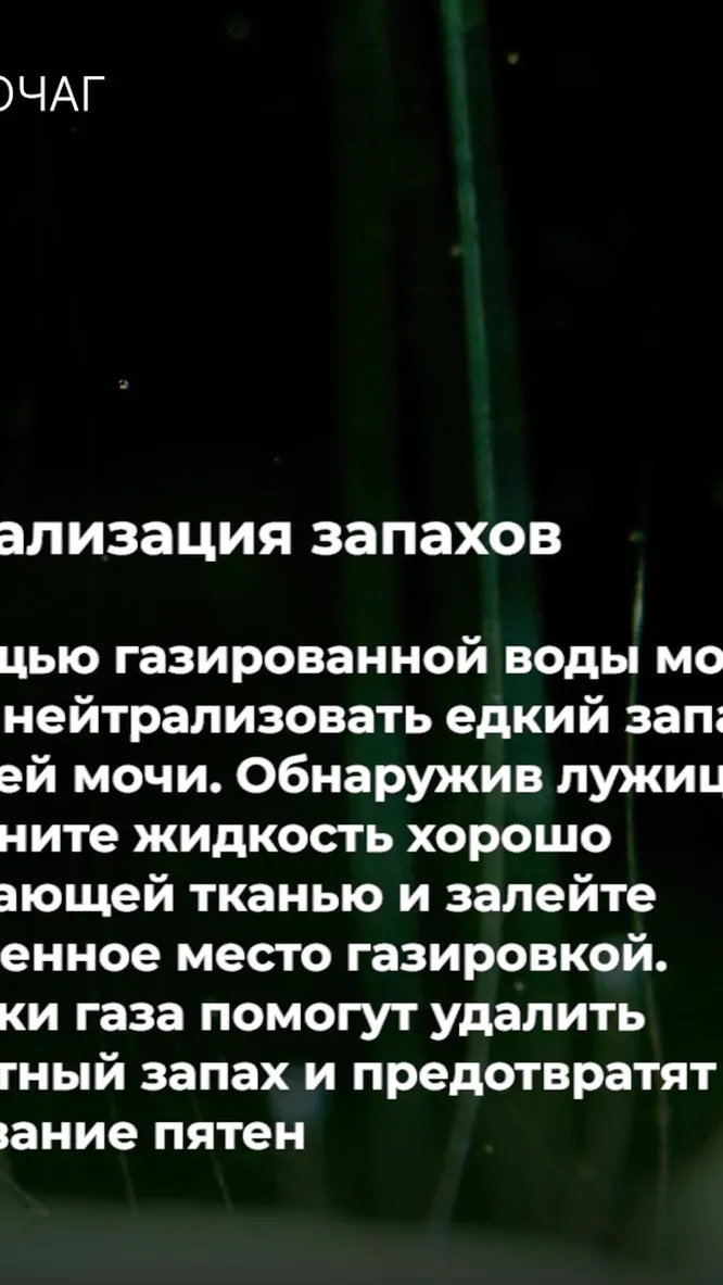 Нажми и смотри