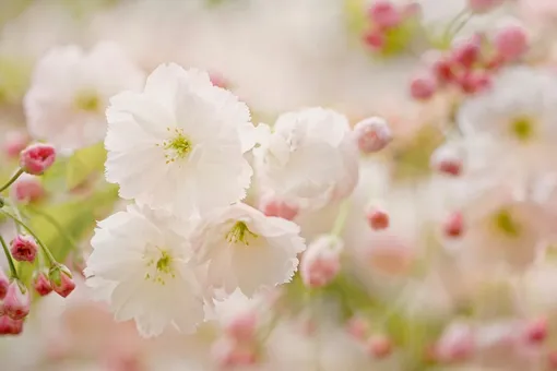 Москвичам на праздниках обещают комфортную погоду Москвичам на праздниках обещают комфортную погоду