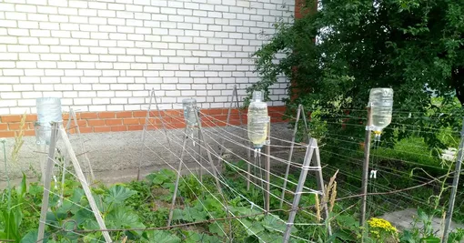 Медицинские капельницы