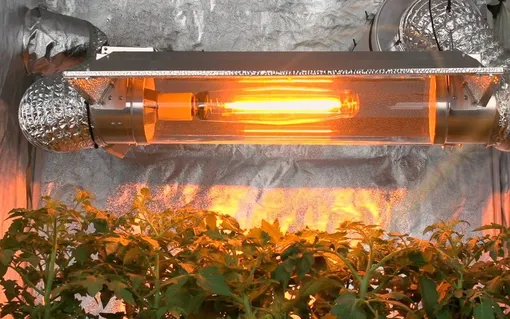 Натриевые (HPS) лампы Натриевые (HPS) лампы