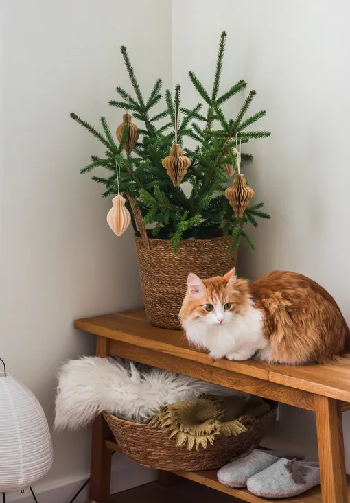 модные елки в 2026 году