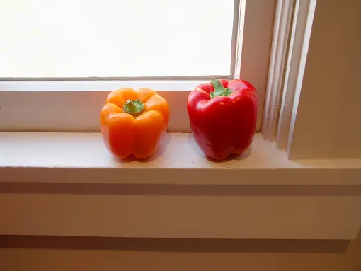 14 вещей, которые нельзя хранить на подоконнике фото