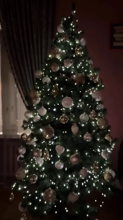 Аида Гарифуллина и Алексей Воробьёв наряжают ёлку Аида Гарифуллина и Алексей Воробьёв наряжают ёлку