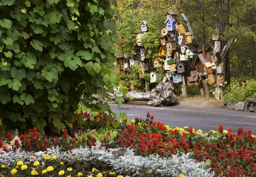 Новосибирский зоопарк Новосибирский зоопарк