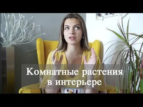 Нажми и смотри