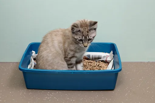 Не спешите выбрасывать! 10 способов использования старых газет в быту