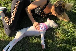 Спасибо, человек! Ветеринарка выходила больную собаку, от которой все отказались