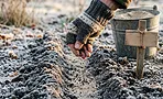 Цветы, которые не взойдут без мороза: какие многолетники сеют под зиму и почему холодильник не заменит снег Цветы, которые не взойдут без мороза: какие многолетники сеют под зиму и почему холодильник не заменит снег