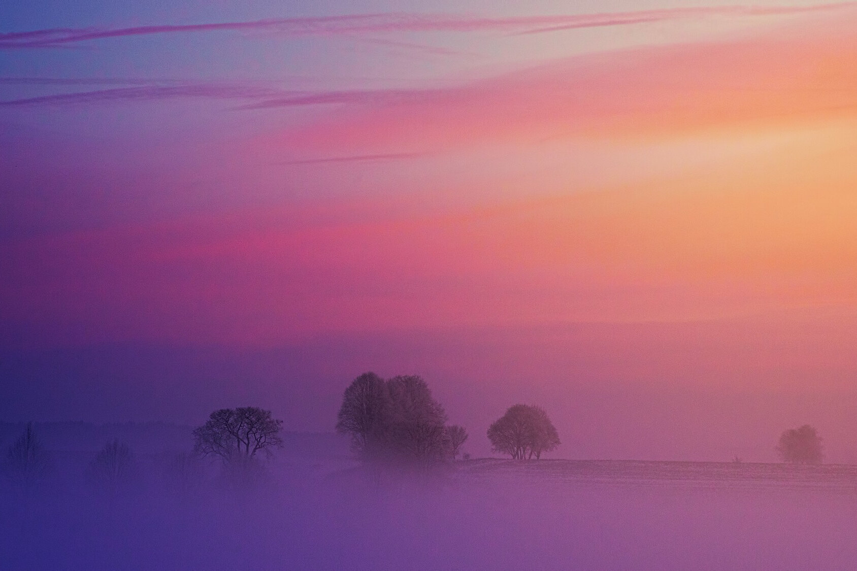 Москву осветил редкий пурпурный рассвет: горожане сняли впечатляющее атмосферное явление