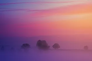 Москву осветил редкий пурпурный рассвет: горожане сняли впечатляющее атмосферное явление Москву осветил редкий пурпурный рассвет: горожане сняли впечатляющее атмосферное явление