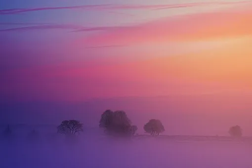 Москву осветил редкий пурпурный рассвет: горожане сняли впечатляющее атмосферное явление