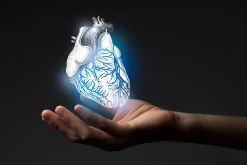 Скончался мужчина, которому пересадили сердце свиньи. Причина смерти неизвестна Скончался мужчина, которому пересадили сердце свиньи. Причина смерти неизвестна