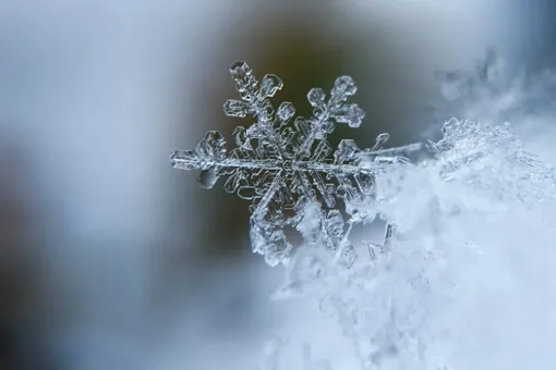 «Земля побелеет»: россиянам пообещали снег и сильные заморозки «Земля побелеет»: россиянам пообещали снег и сильные заморозки
