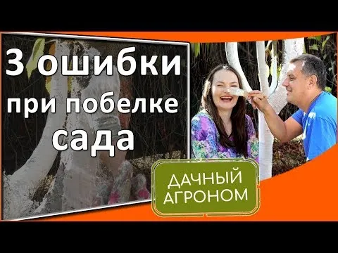 Нажми и смотри