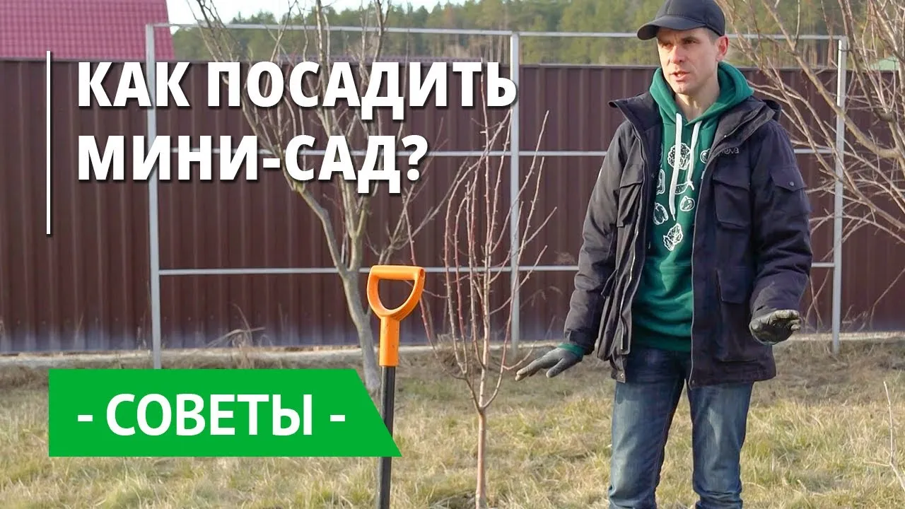 Нажми и смотри Нажми и смотри