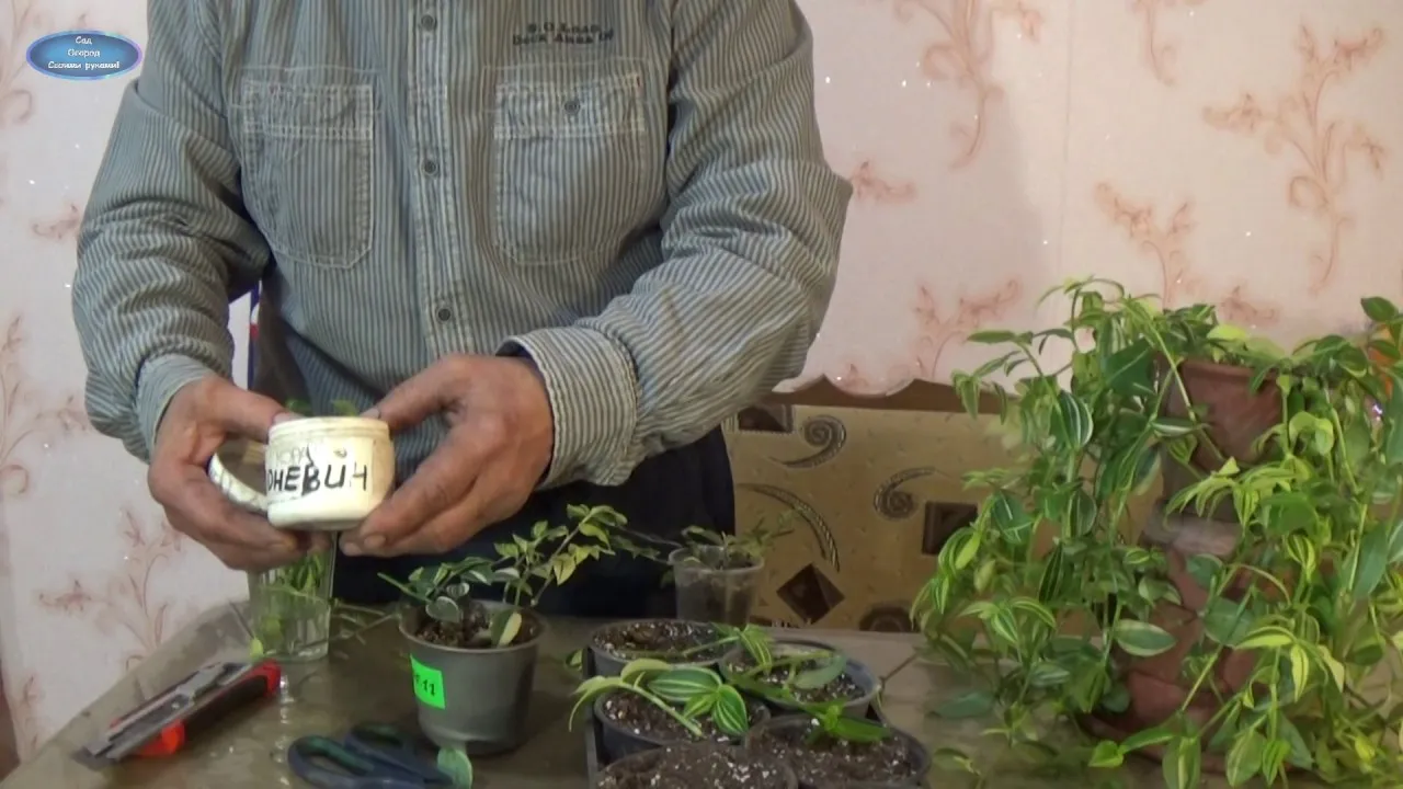 Нажми и смотри Нажми и смотри