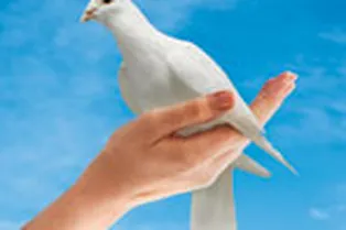 Отпустите свою любовь Отпустите свою любовь