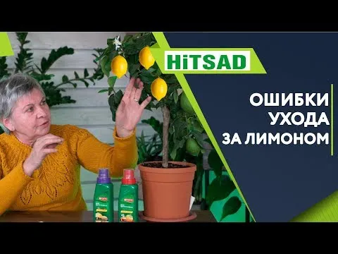 Нажми и смотри