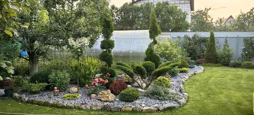 Бонсайный сад — еще одно увлечение Бонсайный сад — еще одно увлечение