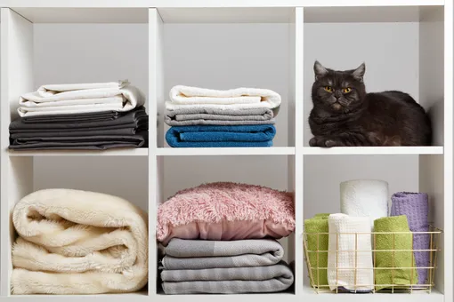 5 мест в доме, где нельзя стелить ковровое покрытие