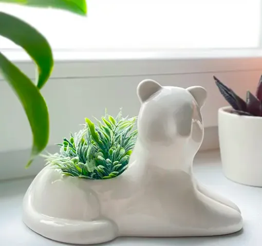 Набор для выращивания Тигр, Pichshop, 795 руб. Набор для выращивания Тигр, Pichshop,