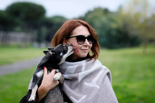 Учёные назвали четыре характеристики собаки, которая захочет с вами подружиться Учёные назвали четыре характеристики собаки, которая захочет с вами подружиться