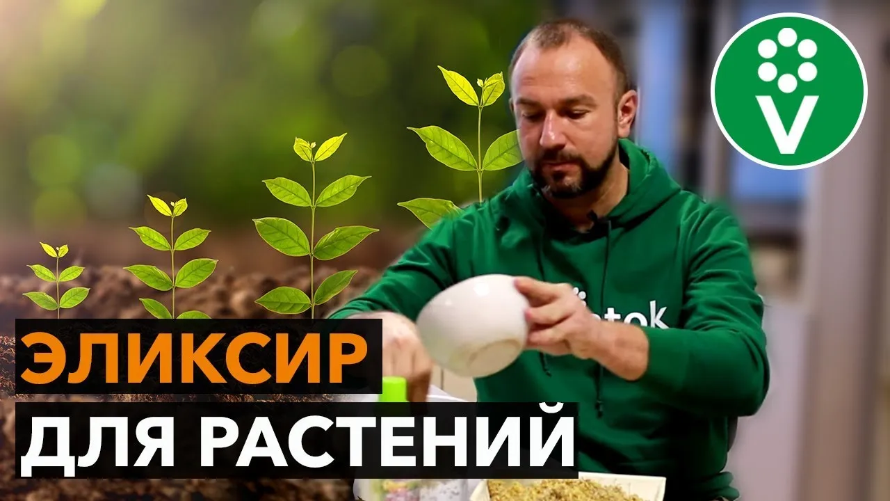 Нажми и смотри Нажми и смотри