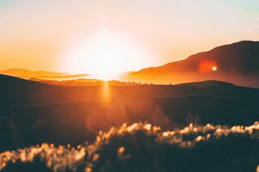 Короткий световой день сыграл не последнюю роль в появлении «жаворонков» Короткий световой день сыграл не последнюю роль в появлении «жаворонков»