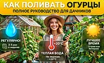 Как поливать огурцы в июне 2026, чтобы они росли как сумасшедшие Как поливать огурцы в июне 2026, чтобы они росли как сумасшедшие