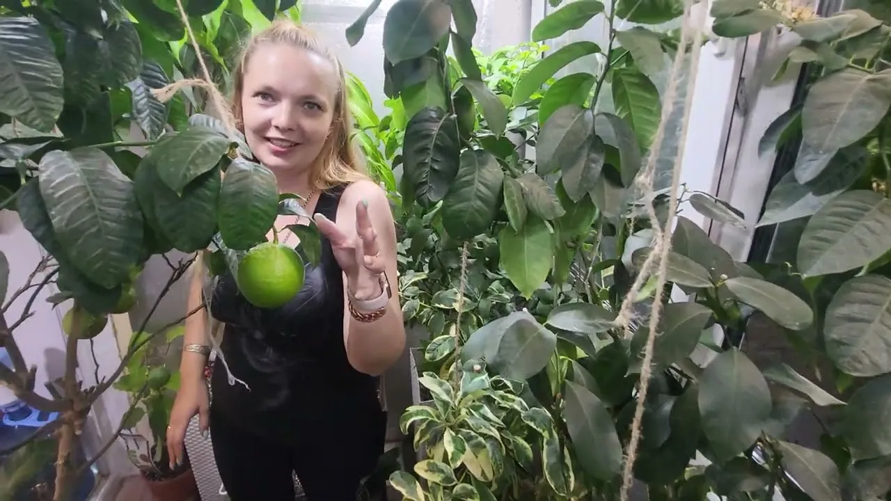 Нажми и смотри Нажми и смотри