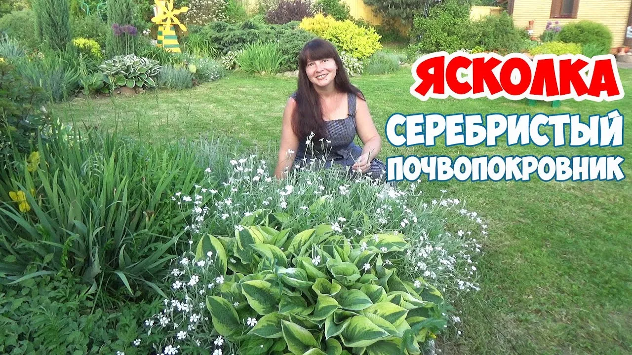 Нажми и смотри Нажми и смотри